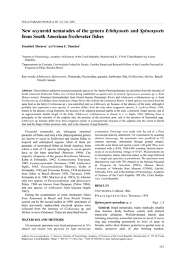 New Oxyuroid Nematodes of the Genera Ichthyouris and Spinoxyuris from South American Freshwater Fishes