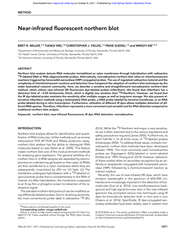 Near-Infrared Fluorescent Northern Blot