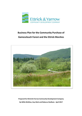 Business Plan for the Community Purchase of Gamescleuch Forest and the Ettrick Marshes