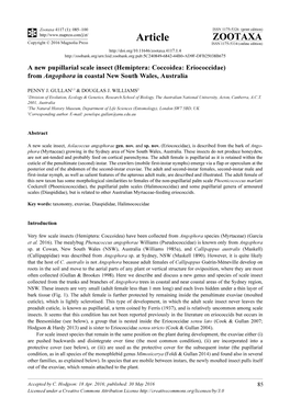 A New Pupillarial Scale Insect (Hemiptera: Coccoidea: Eriococcidae) from Angophora in Coastal New South Wales, Australia