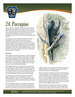 Porcupine Wildlife Note