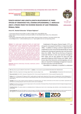 Length-Weight and Length-Length Relationship of Three Species of Snakehead Fish, Channa Diplogramma, C