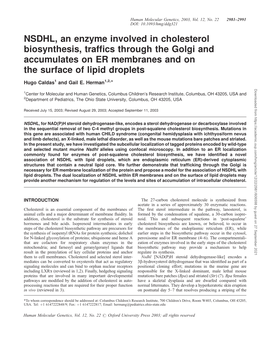 NSDHL, an Enzyme Involved in Cholesterol Biosynthesis, Traffics Through the Golgi and Accumulates on ER Membranes and on The