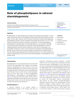Role of Phospholipases in Adrenal Steroidogenesis