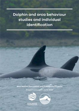 Dolphin and Orca Behaviour Studies and Individual Identification