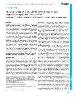 The Nuclear Export Factor CRM1 Controls Juxta-Nuclear Microtubule-Dependent Virus Transport I-Hsuan Wang1,*,‡, Christoph J