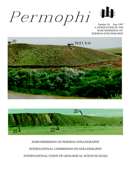 Subcommission on Permian Stratigraphy International
