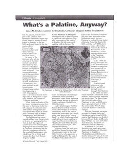 What's a Palatine Anyway?