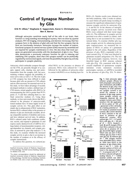 Control of Synapse Number by Glia Erik M