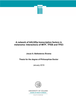 A Network of Bhlhzip Transcription Factors in Melanoma: Interactions of MITF, TFEB and TFE3