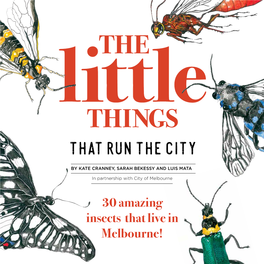THE LITTLE THINGS THAT RUN the CITY 30 AMAZING INSECTS THAT LIVE in MELBOURNE! © City of Melbourne 2017 First Published May, 2017 ISBN 978-1-74250-900-6