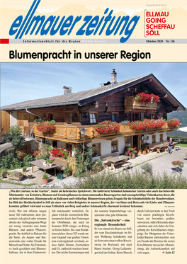 Blumenpracht in Unserer Region