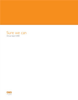 TNT Annual Report 2008