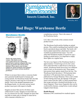 Bad Bugs: Warehouse Beetle