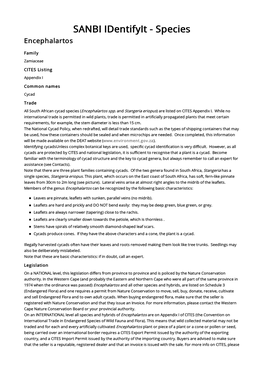 Species Encephalartos Family Zamiaceae CITES Listing Appendix I Common Names Cycad Trade All South African Cycad Species (Encephalartos Spp