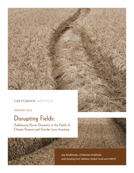 Disrupting Fields: Addressing Power Dynamics in the Fields of Climate Finance and Gender Lens Investing