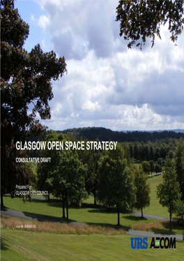 Open Space Strategy Consultative Draft