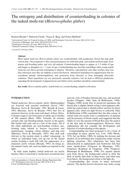 The Ontogeny and Distribution of Countershading in Colonies of the Naked Mole-Rat (Heterocephalus Glaber)