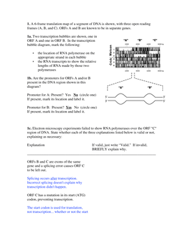 1. a 6-Frame Translation Map of a Segment of DNA Is Shown, with Three Open Reading Frames (A, B, and C). Orfs a and B Are Known to Be in Separate Genes