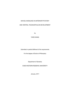 Shh/Gli Signaling in Anterior Pituitary