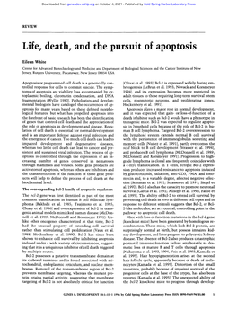 Life, Death, and the Pursuit of Apoptosis