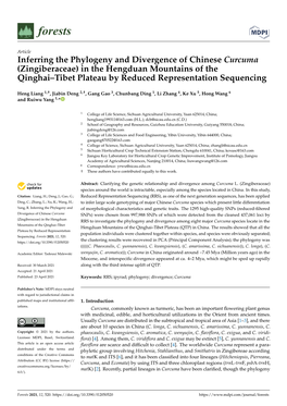 Inferring the Phylogeny and Divergence of Chinese Curcuma (Zingiberaceae) in the Hengduan Mountains of the Qinghai–Tibet Plateau by Reduced Representation Sequencing