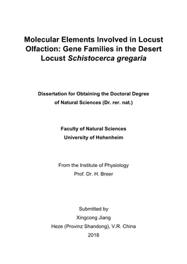 Gene Families in the Desert Locust Schistocerca Gregaria