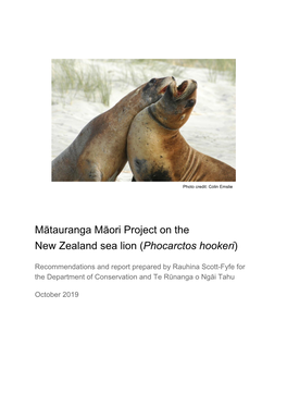 Mātauranga Māori Project on the New Zealand Sea Lion (Phocarctos Hookeri) ​ ​