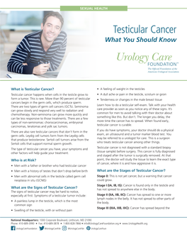 Testicular Cancer Fact Sheet