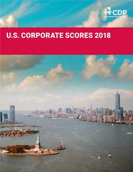 U.S. Corporate Scores 2018