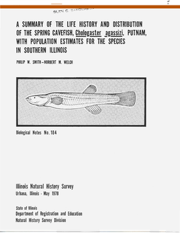 A SUMMARY of the LIFE HISTORY and DISTRIBUTION of the SPRING CAVEFISH, Chologaster ]Gassizi, PUTNAM, with POPULATION ESTIMATES for the SPECIES in SOUTHERN ILLINOIS