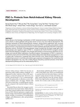 PGC-1A Protects from Notch-Induced Kidney Fibrosis Development