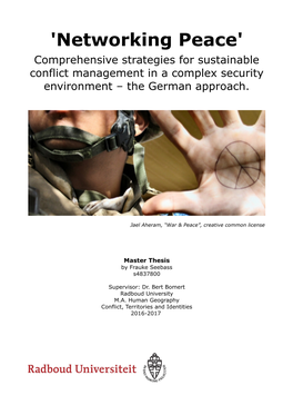 'Networking Peace' Comprehensive Strategies for Sustainable Conflict Management in a Complex Security Environment – the German Approach