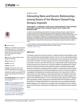 Inbreeding Ratio and Genetic Relationships Among Strains of the Western Clawed Frog, Xenopus Tropicalis