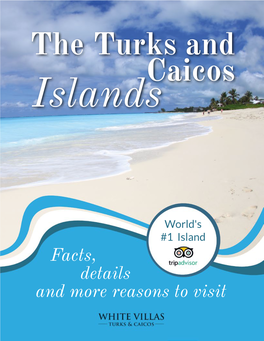 TCI: Facts, Details and More Reasons to Visit