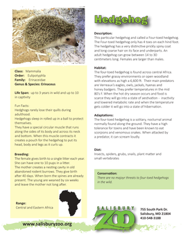 Hedgehog Fact Sheet