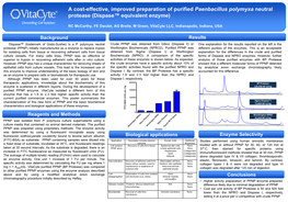 Neutral Protease (Dispase™ Equivalent Enzyme)