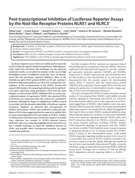 Post-Transcriptional Inhibition of Luciferase Reporter Assays