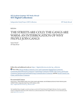 THE STREETS ARE COLD, the GANGS ARE WARM: an INTERROGATION of WHY PEOPLE JOIN GANGS Sanna Strand SIT Study Abroad