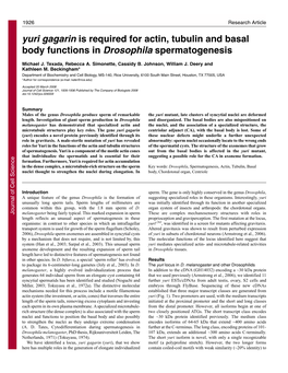 Yuri Gagarin Is Required for Actin, Tubulin and Basal Body Functions in Drosophila Spermatogenesis