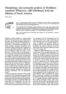 Morphology and Systematic Position of Tryhlidium Canadense Whiteaves