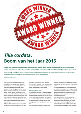 Tilia Cordata, Boom Van Het Jaar 2016