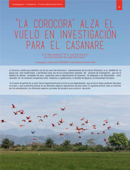 “La Corocora” Alza El Vuelo En Investigación Para El Casanare