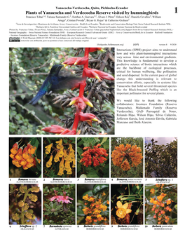 Plants of Yanacocha and Verdecocha Reserve Visited by Hummingbirds 1 Francisco Tobar1,4, Tatiana Santander G.1, Esteban A