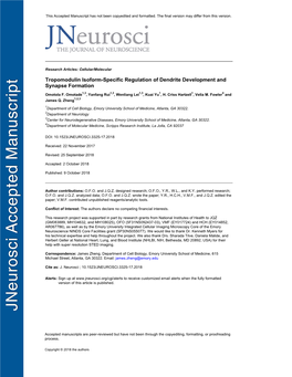 Tropomodulin Isoform-Specific Regulation of Dendrite Development and Synapse Formation