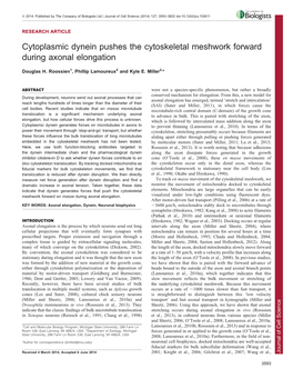 Cytoplasmic Dynein Pushes the Cytoskeletal Meshwork Forward During Axonal Elongation