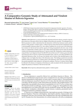 A Comparative Genomic Study of Attenuated and Virulent Strains of Babesia Bigemina