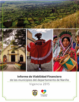 Informe De Viabilidad Financiera De Los Municipios Del Departamento De Nariño Vigencia 2014