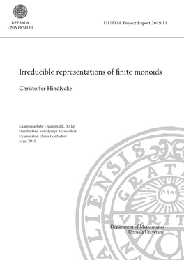 Irreducible Representations of Finite Monoids