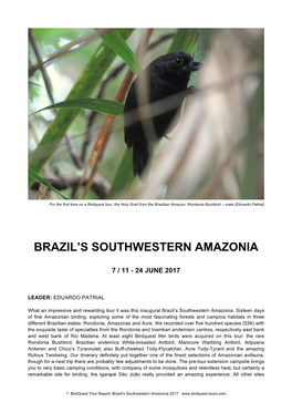 TOUR REPORT Southwestern Amazonia 2017 Final